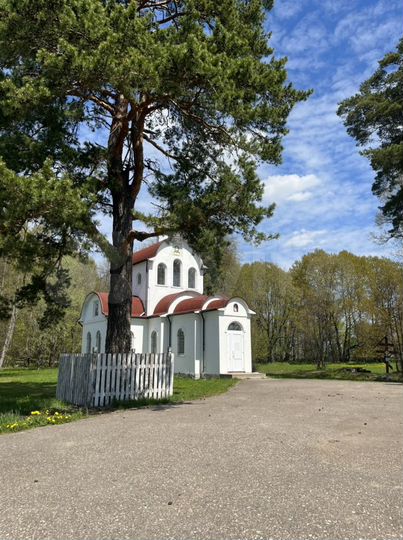 Участок 30 сот. (ИЖС)