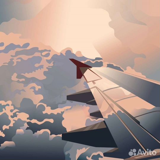 500000миль от платины Аэрофлот