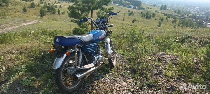 Irbis virago