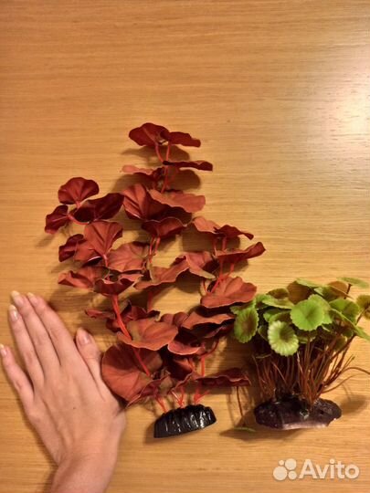 Фильтр рюкзачок, растения декор для аквариума