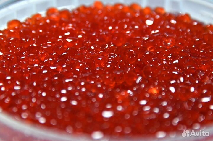 Сортировщик икры (Вахта) 3-х разовое питание 15/35