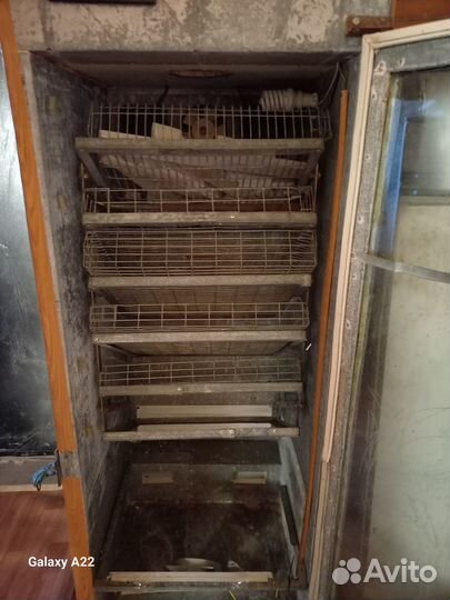 Инкубатор для яиц автоматический