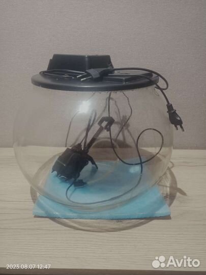 Аквариум круглый 10 л