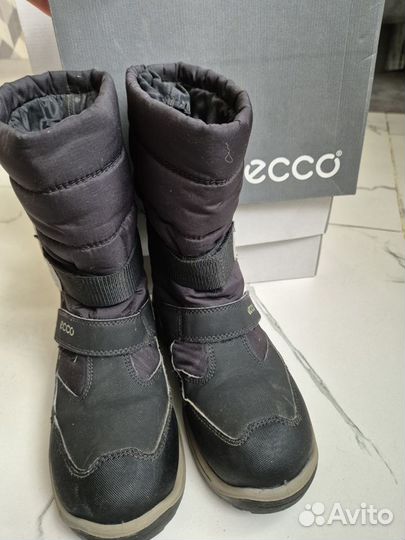 Сапоги ecco