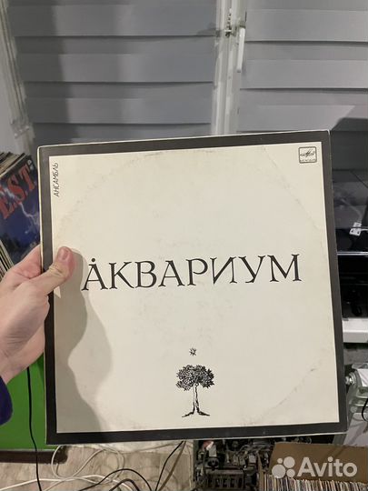 Виниловые пластинки