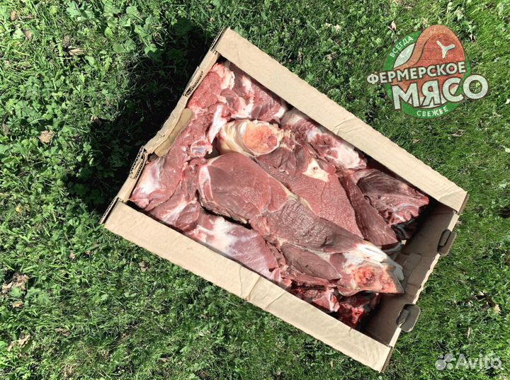 Мясо говядина