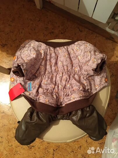 Одежда для собак