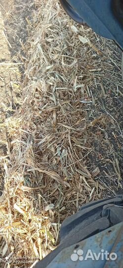 Сено кукурузной