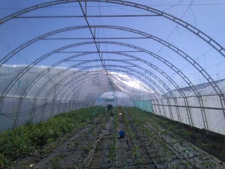 Участок 3,5 га (СНТ, ДНП)