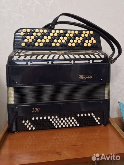 Баян Тула 209