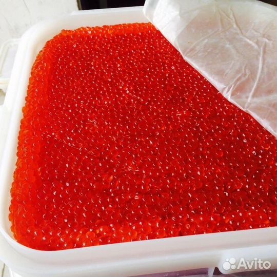 Свежемороженая рыба. Рыба оптом. Свежий улов