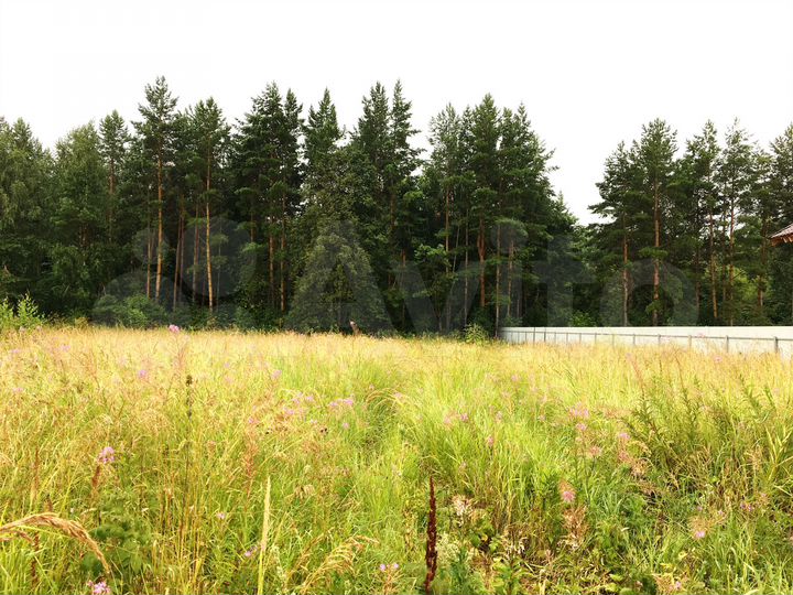 Участок 12,5 сот. (ИЖС)