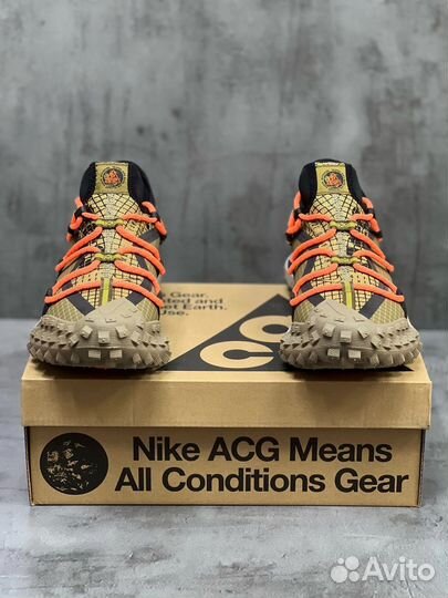 Кроссовки Nike ACG Mountain Fly Low Gore-Tex