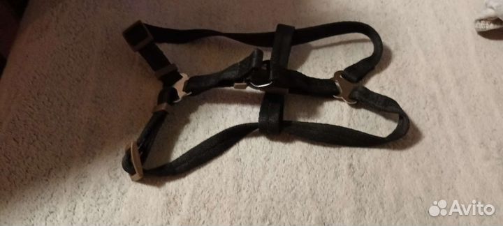 Принадлежности для животных и пневматические пули