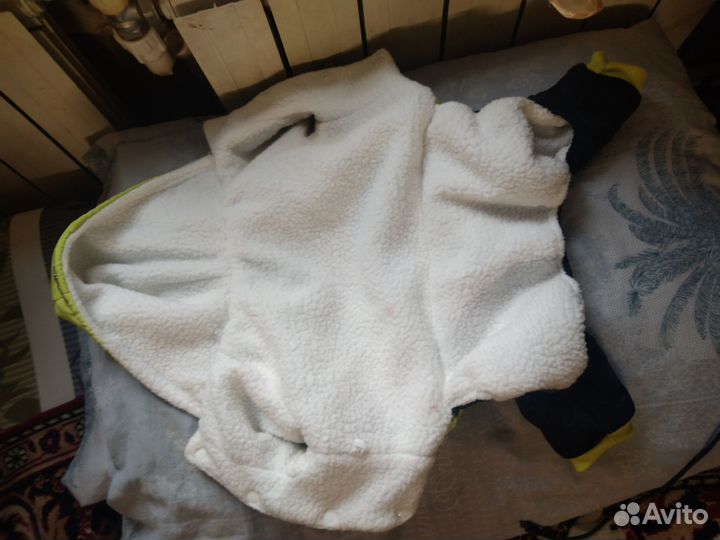 Одежда для маленьких собак