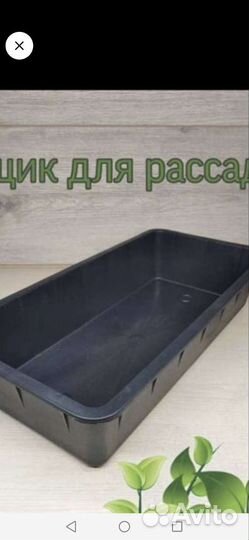 Ящик для рассады