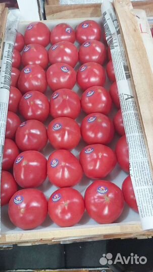 Помидоры