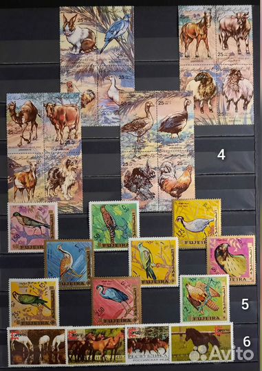 Коллекция редких марок Фауна 3 (чистые )