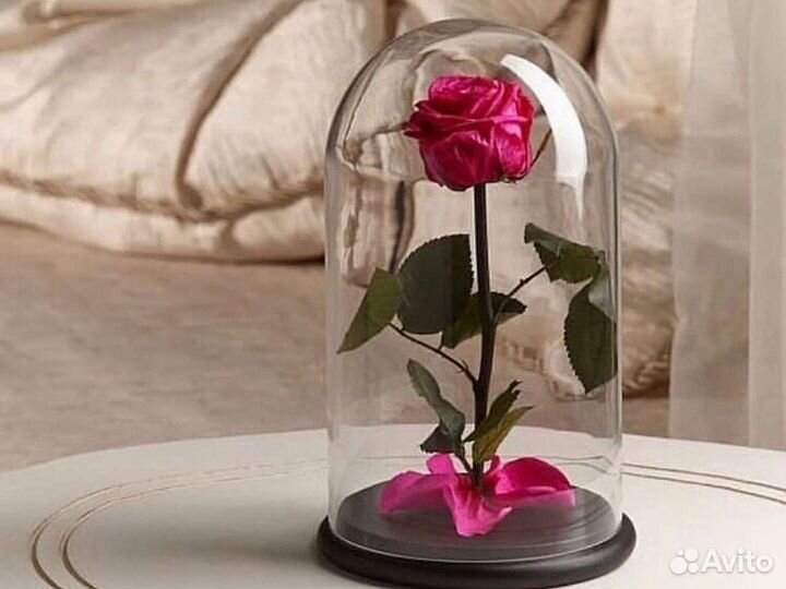 Роза в колбе