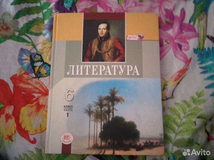 Учебники по литературе шестой класс