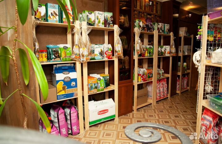 Доставка попугая на дом