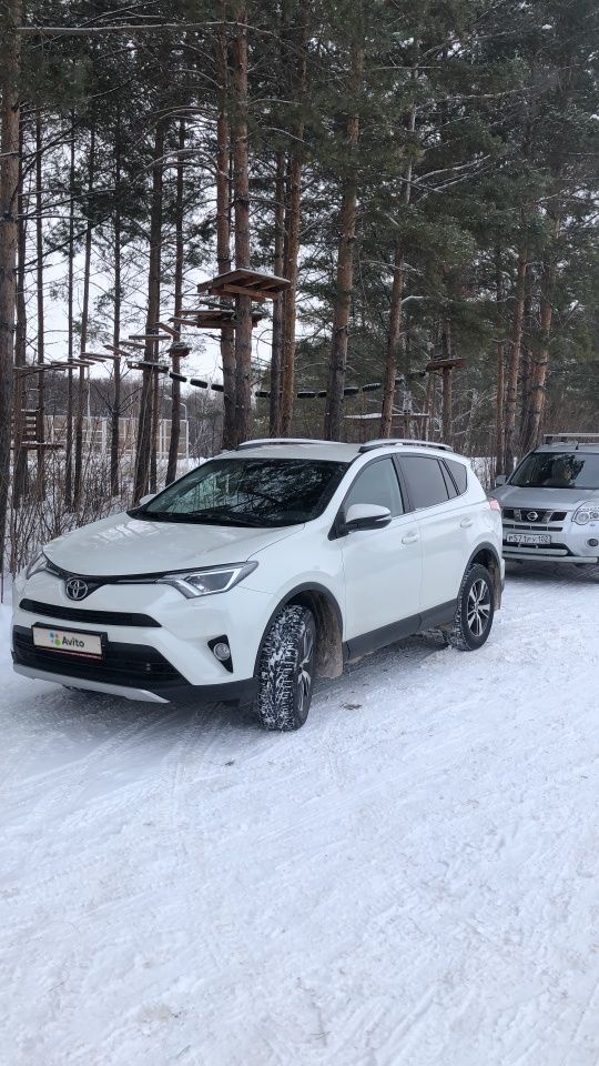 Toyota RAV4: фото владельца