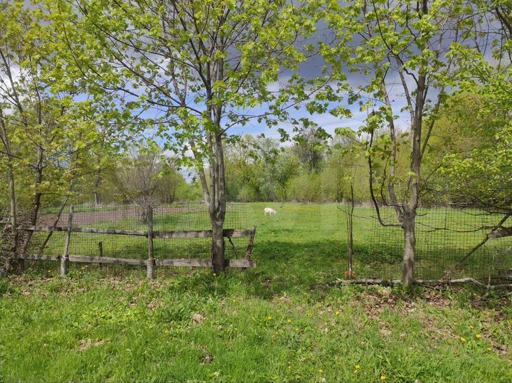 Участок 42 сот. (ИЖС)