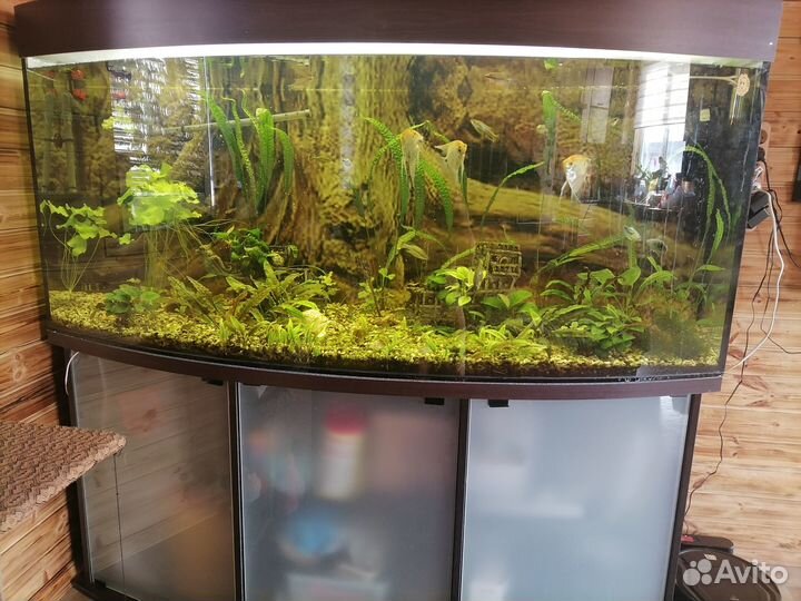 Аквариум 600литров