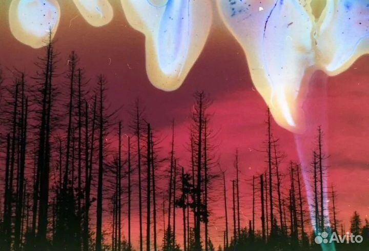 Экспериментальная фотосессия на пленку