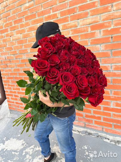 Роза 1 метр. Эквадор от 100см. Метровые розы