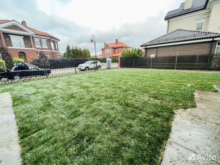 Рулонный газон 