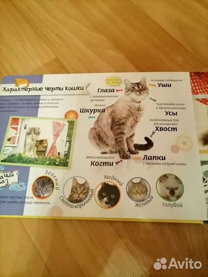 Книга пазл