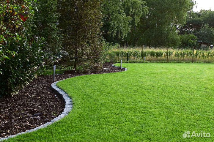 Укладка газона