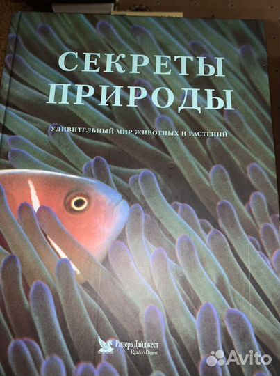 Секреты природы. Удивительный мир животных и расте