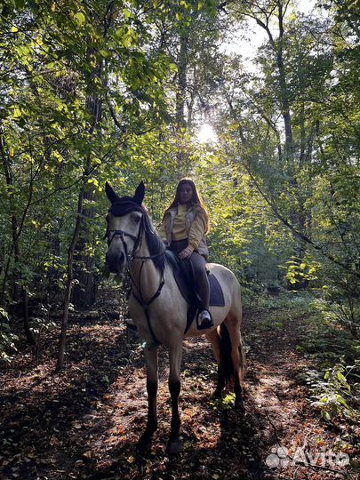 Прогулки на лошадях. Обучение. Прокат