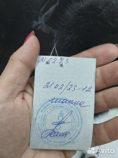 Норковая шапка мужская 210223-1А