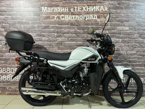 Мопед Alpha Premium 110 карманы + кофр (2024гв)