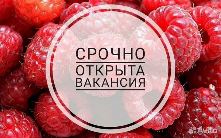 Вахта без документов