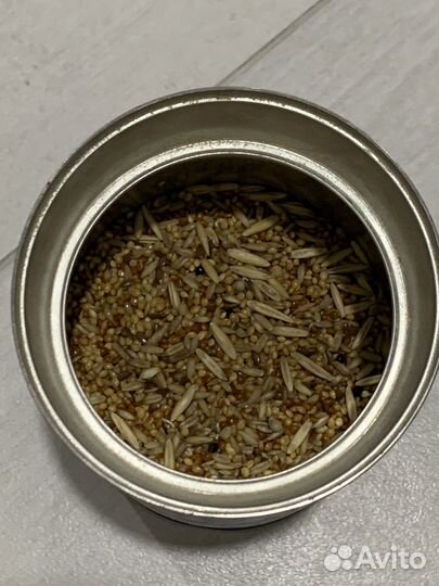 Для попугаев гнездо, песок, корм, камень