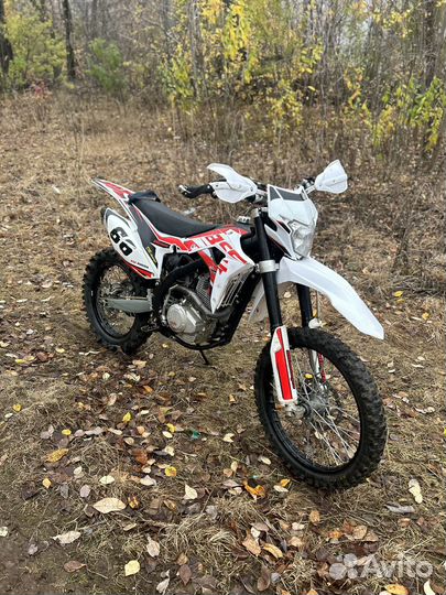 BSE Z5