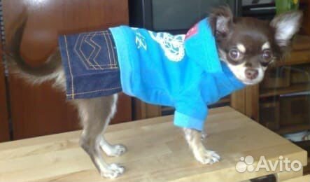 Куртка дождевик