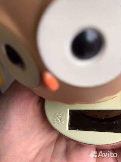 Сова на солнечной батарее