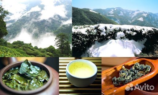 Чай Дун Дин Улун для любителей улуна