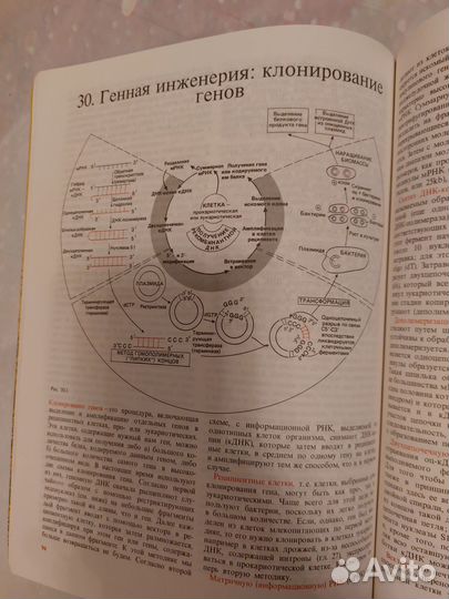 От клеток к атомам Рис Стернберг