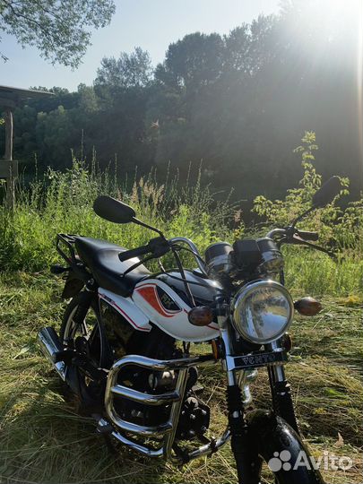 Альфа Vento rx 110