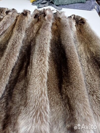 Енот-полоскун натуральный, шкурки