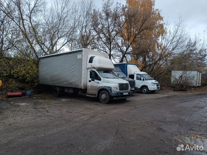 Водитель на Газон некст межгород