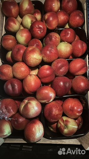 Нектарин бесплатная доставка