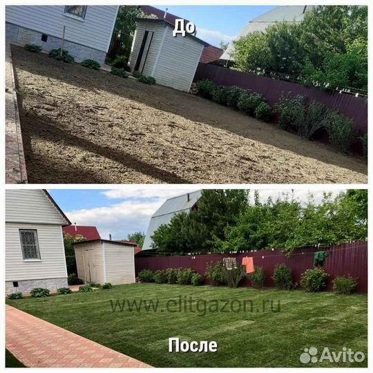 Рулонный газон /продажа/укладка