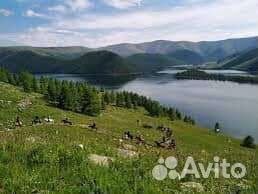 Туры в монголию